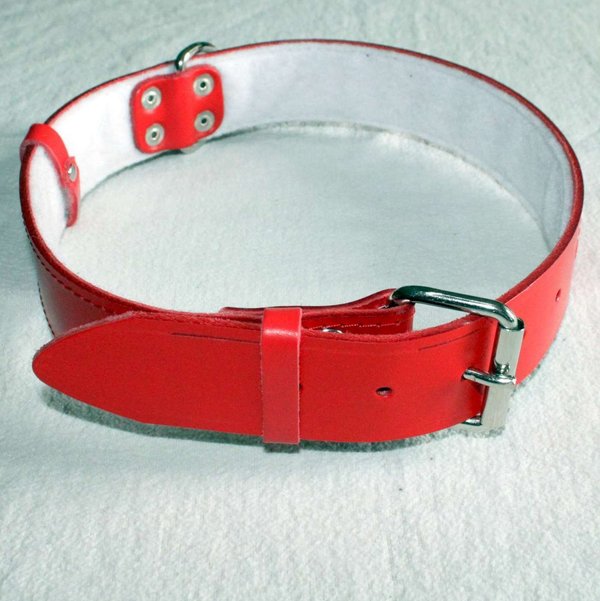 Hundhalsband Halsband Leder 16 mm breit, 41 cm lang, Farbe Rot innen Futter weiß